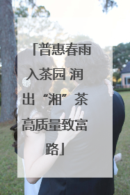 普惠春雨入茶园 润出“湘”茶高质量致富路