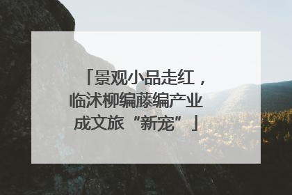 景观小品走红，临沭柳编藤编产业成文旅“新宠”