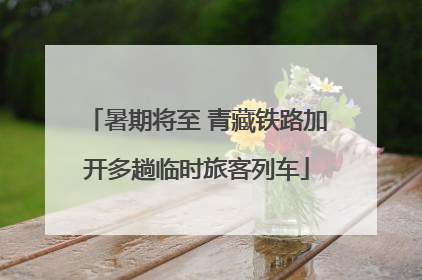 暑期将至 青藏铁路加开多趟临时旅客列车