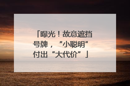 曝光！故意遮挡号牌，“小聪明”付出“大代价”