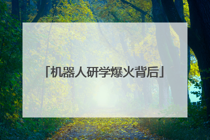机器人研学爆火背后
