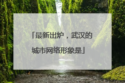 最新出炉，武汉的城市网络形象是
