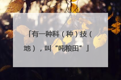 有一种科（种）技（地），叫“吨粮田”