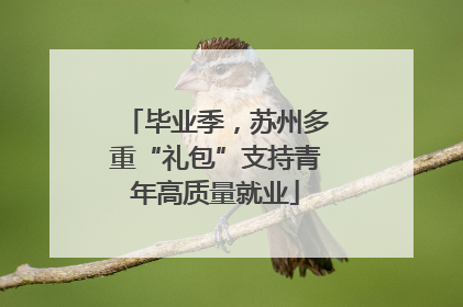 毕业季，苏州多重“礼包”支持青年高质量就业