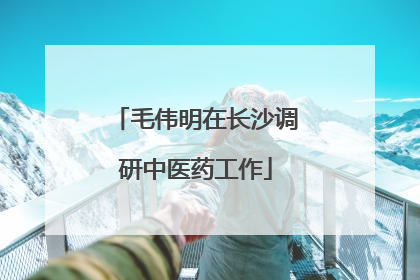 毛伟明在长沙调研中医药工作