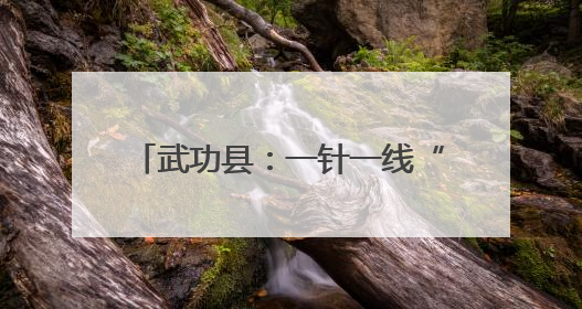 武功县：一针一线“绣”出就业新图景