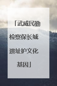 武威民勤检察保长城遗址护文化基因