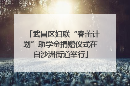 武昌区妇联“春蕾计划”助学金捐赠仪式在白沙洲街道举行