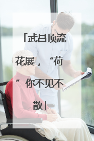 武昌顶流花展，“荷”你不见不散