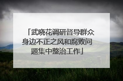 武晓花调研督导群众身边不正之风和腐败问题集中整治工作