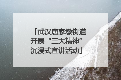武汉唐家墩街道开展“三大精神”沉浸式宣讲活动