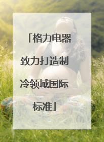 格力电器致力打造制冷领域国际标准