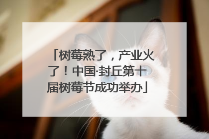 树莓熟了，产业火了！中国·封丘第十届树莓节成功举办