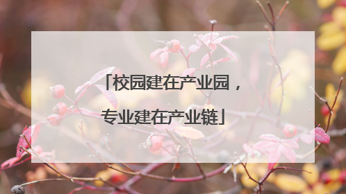 校园建在产业园，专业建在产业链
