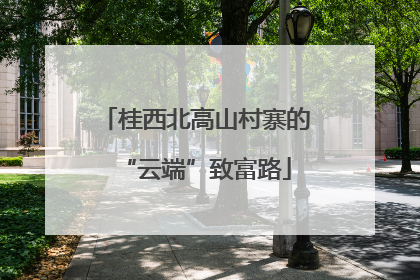 桂西北高山村寨的“云端”致富路