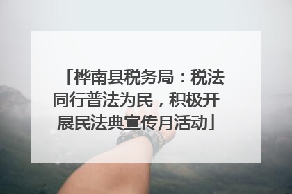 桦南县税务局：税法同行普法为民，积极开展民法典宣传月活动