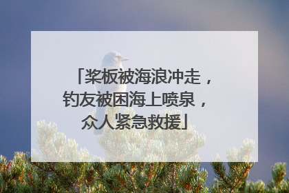 桨板被海浪冲走，钓友被困海上喷泉，众人紧急救援