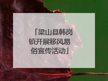 梁山县韩岗镇开展移风易俗宣传活动