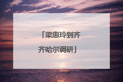 梁惠玲到齐齐哈尔调研