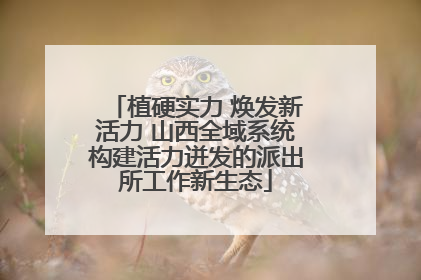植硬实力 焕发新活力 山西全域系统构建活力迸发的派出所工作新生态