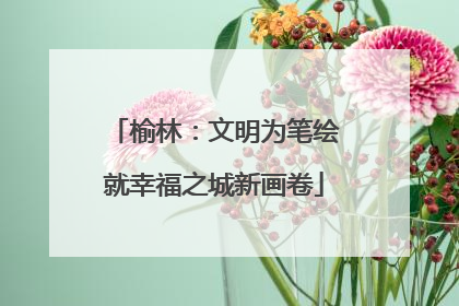 榆林：文明为笔绘就幸福之城新画卷