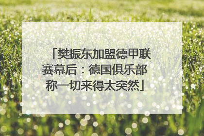 樊振东加盟德甲联赛幕后：德国俱乐部称一切来得太突然