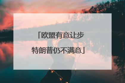 欧盟有意让步 特朗普仍不满意