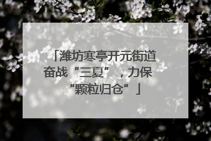 潍坊寒亭开元街道奋战“三夏”，力保“颗粒归仓”