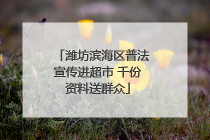 潍坊滨海区普法宣传进超市 千份资料送群众
