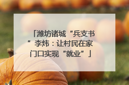 潍坊诸城“兵支书”李炜：让村民在家门口实现“就业”