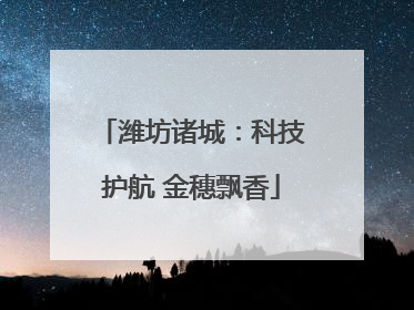 潍坊诸城：科技护航 金穗飘香
