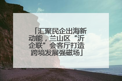 汇聚民企出海新动能，兰山区“沂企联”会客厅打造跨境发展强磁场