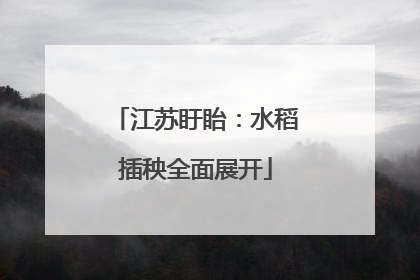 江苏盱眙：水稻插秧全面展开