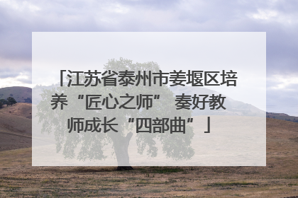 江苏省泰州市姜堰区培养“匠心之师” 奏好教师成长“四部曲”
