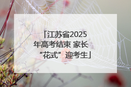 江苏省2025年高考结束 家长“花式”迎考生