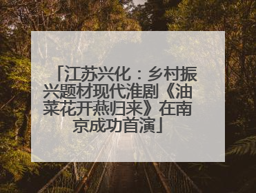 江苏兴化：乡村振兴题材现代淮剧《油菜花开燕归来》在南京成功首演