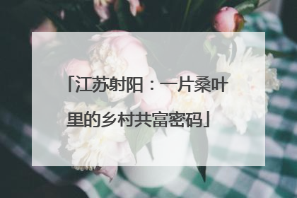 江苏射阳：一片桑叶里的乡村共富密码