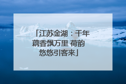 江苏金湖：千年藕香飘万里 荷韵悠悠引客来