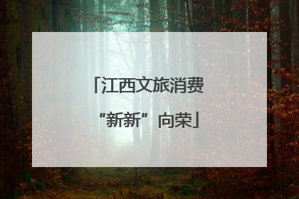江西文旅消费“新新”向荣
