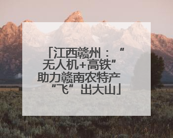 江西赣州：“无人机+高铁”助力赣南农特产“飞”出大山