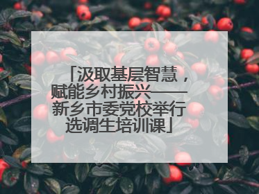 汲取基层智慧，赋能乡村振兴——新乡市委党校举行选调生培训课