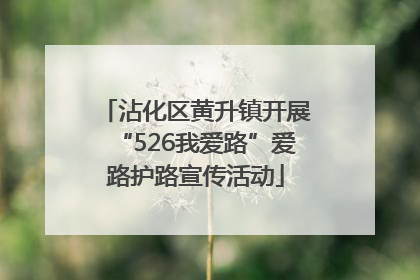沾化区黄升镇开展“526我爱路”爱路护路宣传活动