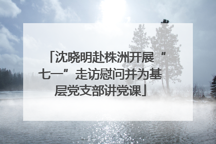 沈晓明赴株洲开展“七一”走访慰问并为基层党支部讲党课