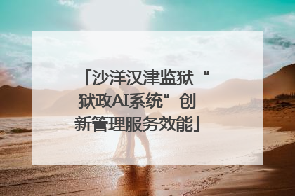 沙洋汉津监狱“狱政AI系统”创新管理服务效能