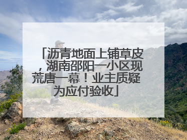 沥青地面上铺草皮，湖南邵阳一小区现荒唐一幕！业主质疑为应付验收