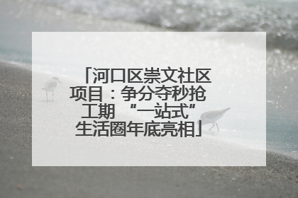 河口区崇文社区项目：争分夺秒抢工期 “一站式”生活圈年底亮相