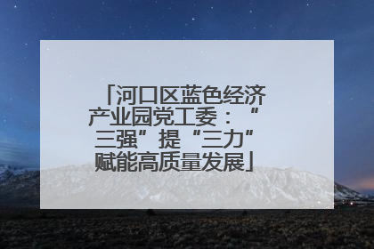 河口区蓝色经济产业园党工委：“三强”提“三力”赋能高质量发展