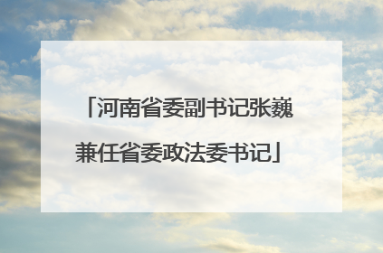 河南省委副书记张巍兼任省委政法委书记