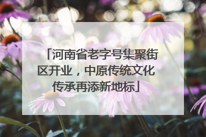 河南省老字号集聚街区开业，中原传统文化传承再添新地标