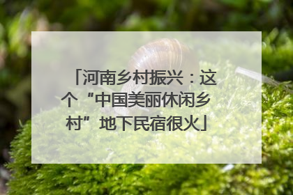 河南乡村振兴：这个“中国美丽休闲乡村”地下民宿很火